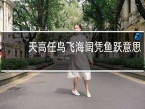 天高任鸟飞海阔凭鱼跃意思