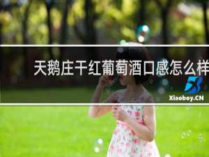 天鹅庄干红葡萄酒口感怎么样