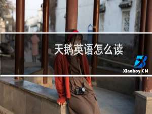 天鹅英语怎么读