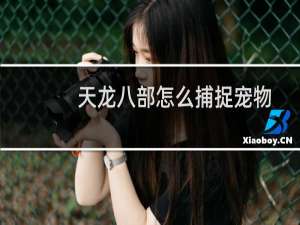 天龙八部怎么捕捉宠物