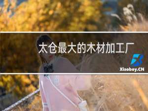 太仓最大的木材加工厂
