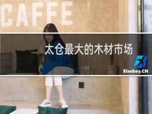 太仓最大的木材市场