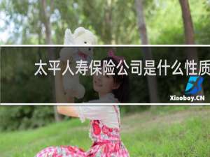 太平人寿保险公司是什么性质