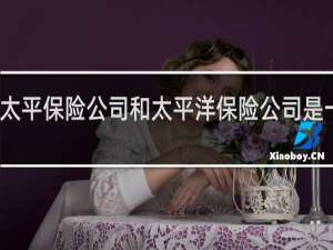 太平保险公司和太平洋保险公司是一家吗