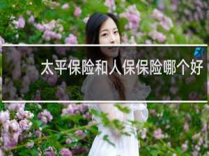 太平保险和人保保险哪个好