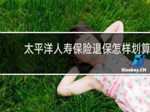 太平洋人寿保险退保怎样划算