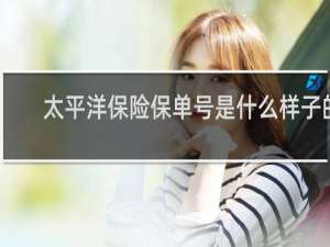 太平洋保险保单号是什么样子的