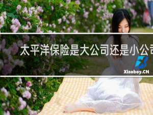 太平洋保险是大公司还是小公司