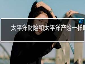 太平洋财险和太平洋产险一样吗