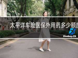太平洋车险医保外用药多少额度