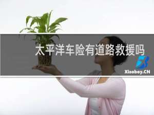 太平洋车险有道路救援吗