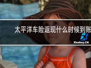 太平洋车险返现什么时候到账