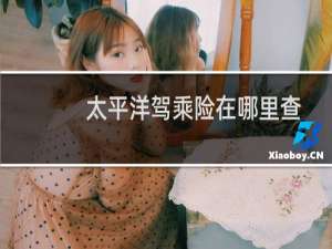 太平洋驾乘险在哪里查