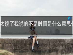 太晚了我说的不是时间是什么意思什么梗