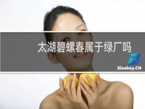 太湖碧螺春属于绿厂吗