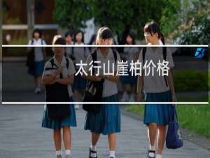 太行山崖柏价格