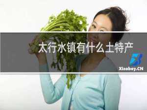 太行水镇有什么土特产