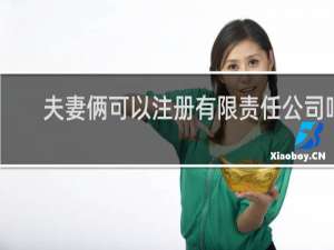 夫妻俩可以注册有限责任公司吗