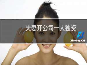 夫妻开公司一人独资