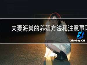 夫妻海棠的养殖方法和注意事项
