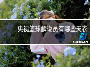 央视篮球解说员有哪些天衣