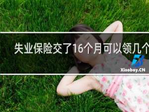 失业保险交了16个月可以领几个月