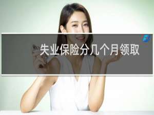 失业保险分几个月领取