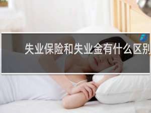 失业保险和失业金有什么区别