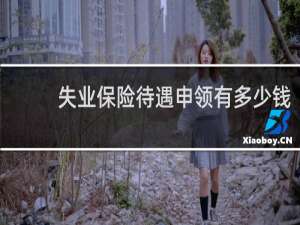 失业保险待遇申领有多少钱