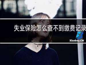 失业保险怎么查不到缴费记录