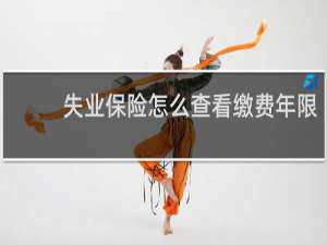 失业保险怎么查看缴费年限