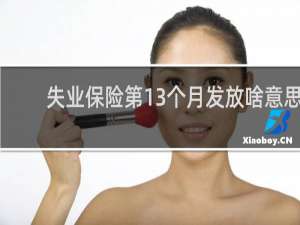 失业保险第13个月发放啥意思