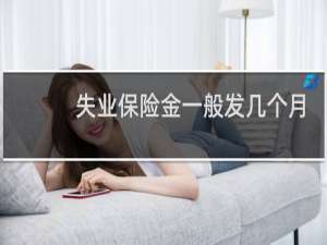 失业保险金一般发几个月