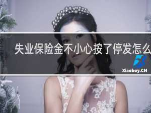 失业保险金不小心按了停发怎么办