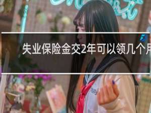 失业保险金交2年可以领几个月