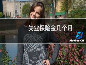 失业保险金几个月