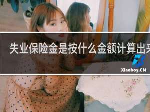 失业保险金是按什么金额计算出来的