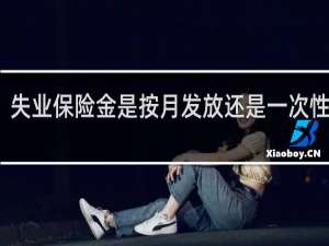 失业保险金是按月发放还是一次性发放