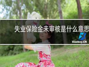 失业保险金未审核是什么意思