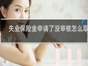 失业保险金申请了没审核怎么取消