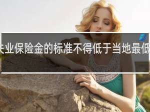 失业保险金的标准不得低于当地最低工资吗