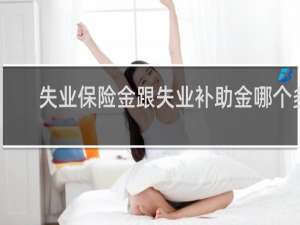 失业保险金跟失业补助金哪个多