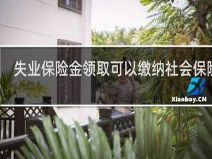 失业保险金领取可以缴纳社会保险么