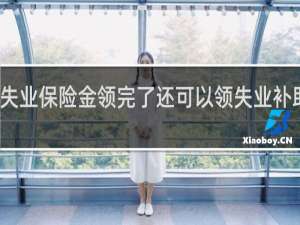 失业保险金领完了还可以领失业补助金吗