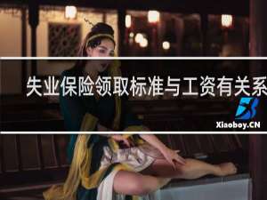 失业保险领取标准与工资有关系吗