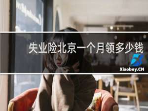 失业险北京一个月领多少钱