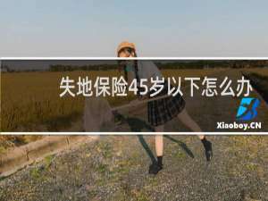 失地保险45岁以下怎么办
