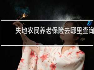 失地农民养老保险去哪里查询