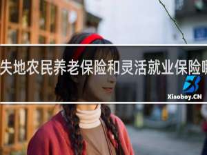 失地农民养老保险和灵活就业保险哪个好