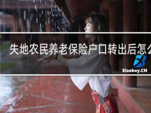失地农民养老保险户口转出后怎么办